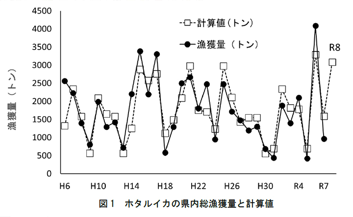 2026年ホタルイカ漁況の見通し